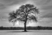Ort: WESERMARSCH     Nikon D200     38mm     f/8     Belichtungsreihe mit 9 Bilder