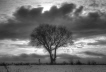 Ort: WESERMARSCH     Nikon D200     42mm     f/10     Belichtungsreihe mit 3 Bilder