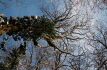 Ort: KARLSRUHE     Nikon D70   28mm   f 9   1/320 sec   ISO 400