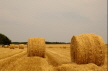 Ort: LIEBENAU     Nikon D70   48mm   f 11   1/400 sec   ISO 200