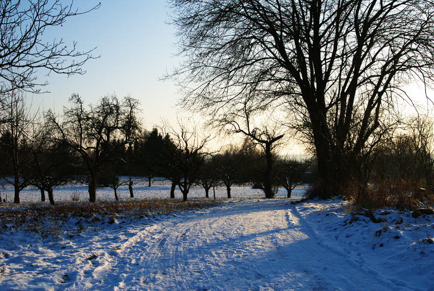 Ort: Karlsruhe     Nikon D200     28mm     f:11     1/750sec     ISO 500